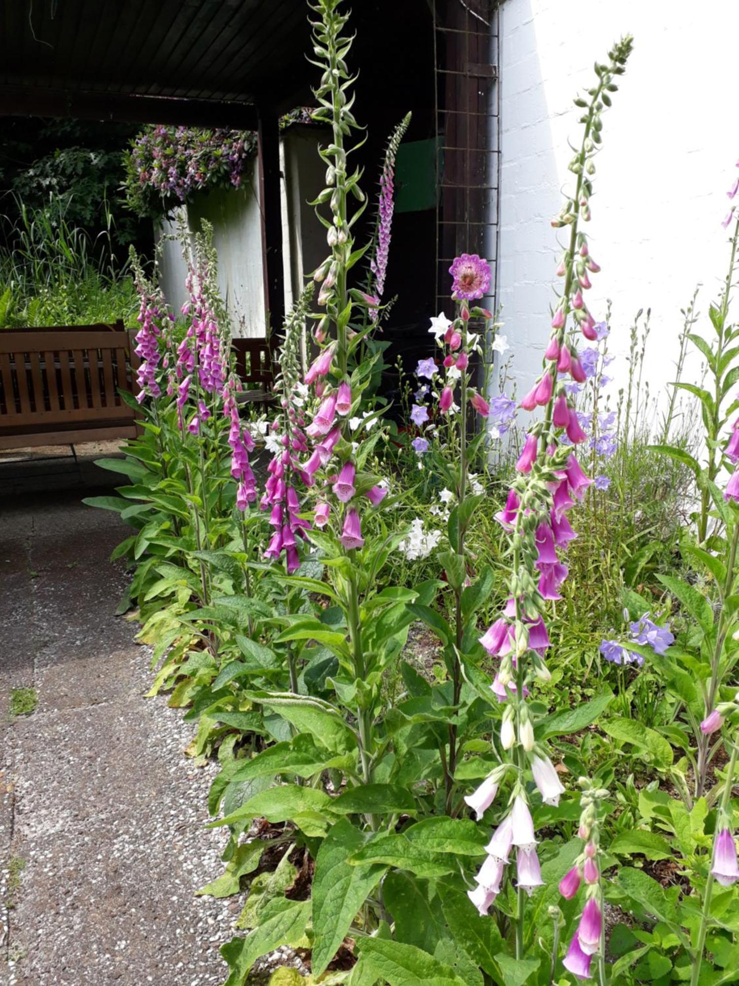 Atelierhaus Tannenweg Daire Worpswede Dış mekan fotoğraf
